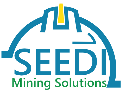 Seedi logo